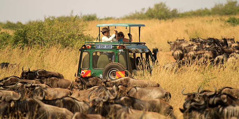 Tanzania in ‘second’ place as Africa’s top safari destination - The Citizen