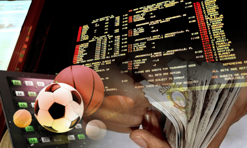 What to look for in a Betting site - The Citizen