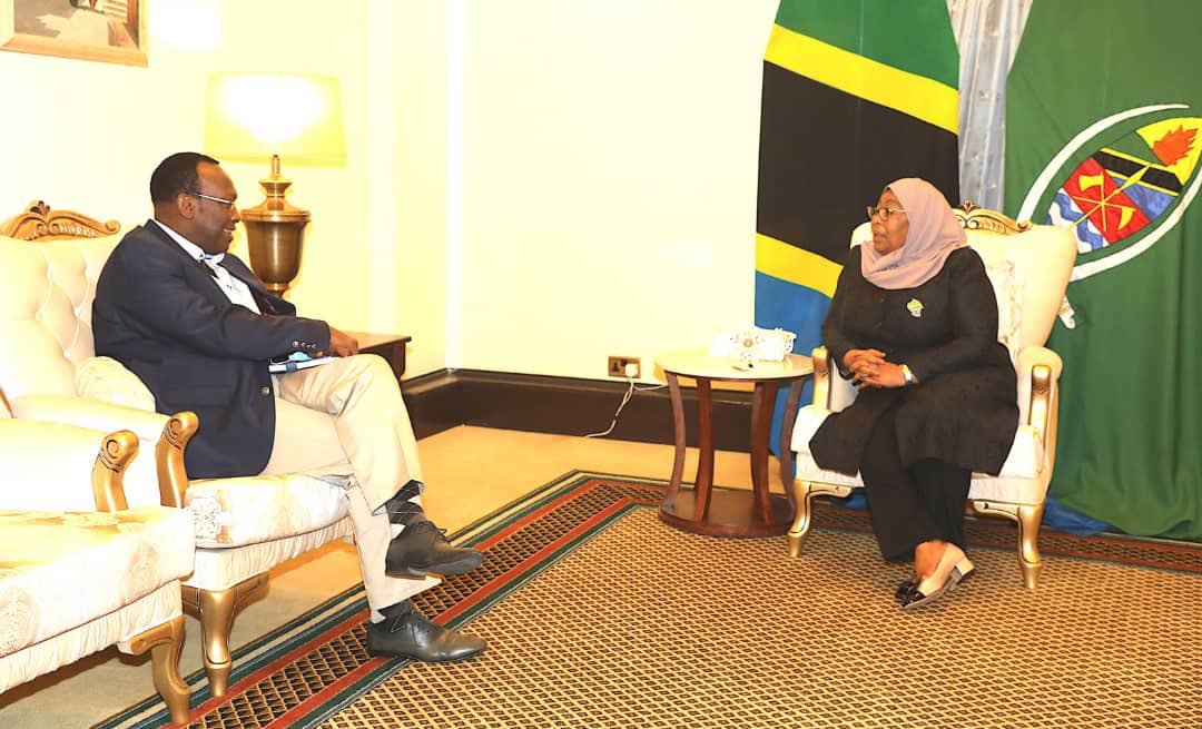 President Samia meets Mbowe hours after his release - The Citizen