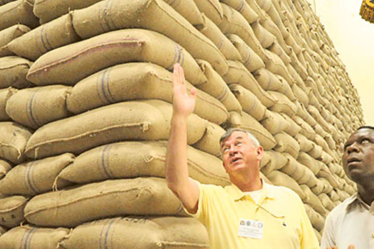 Grain reserve too costly, govt told The Citizen