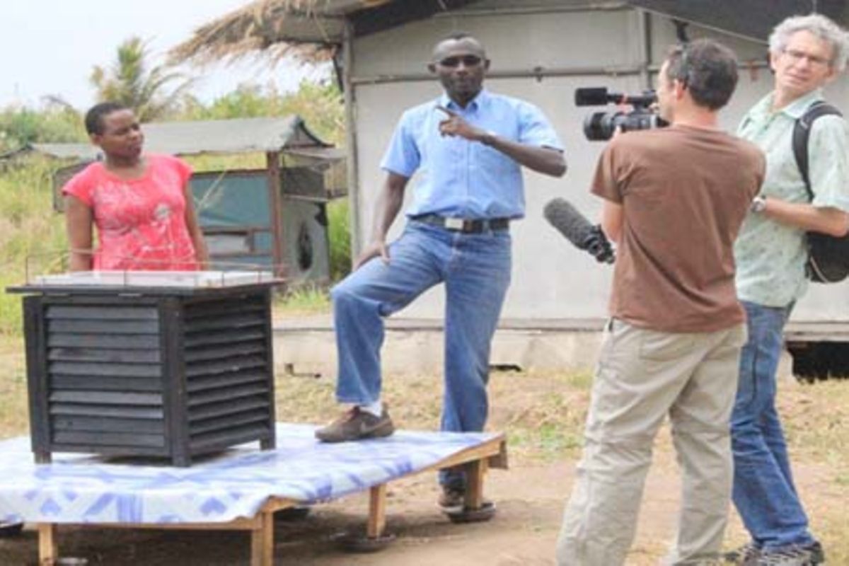 Perfume used to attract, kill outdoor mosquitoes The Citizen