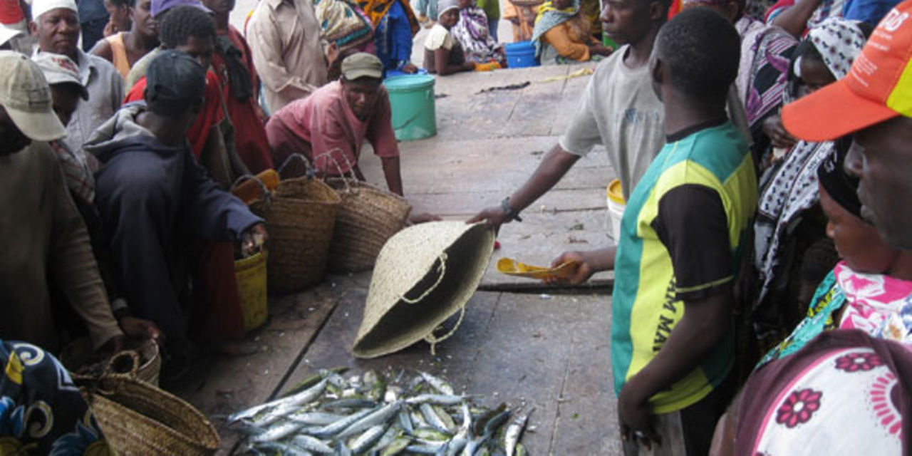 INSIGHT Revealed Tanzania profits little from tuna production The