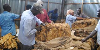 tanzania tobacco board TTB shuts tobacco markets