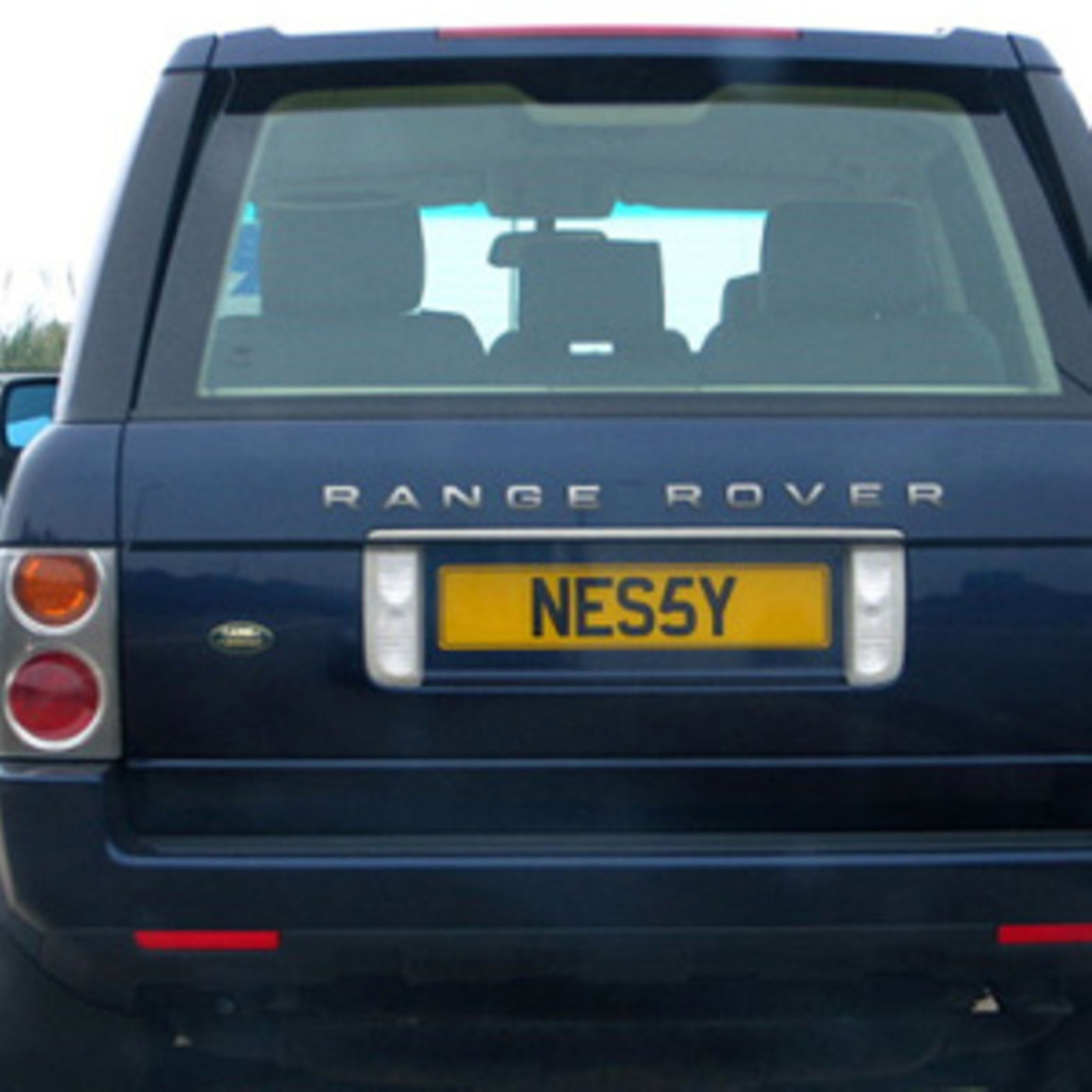 Gov personalised on sale number plate