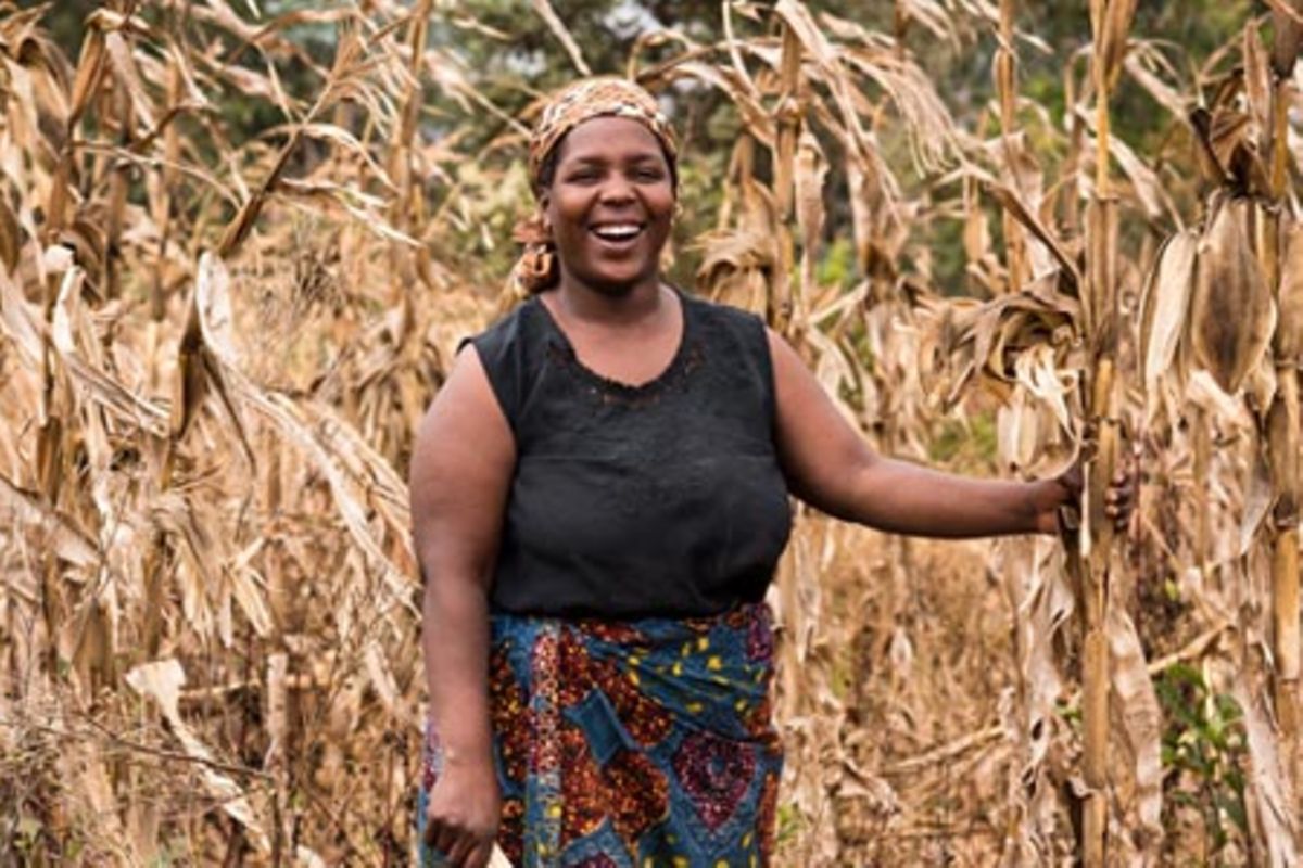 How climate change impact on women in rural areas | The Citizen