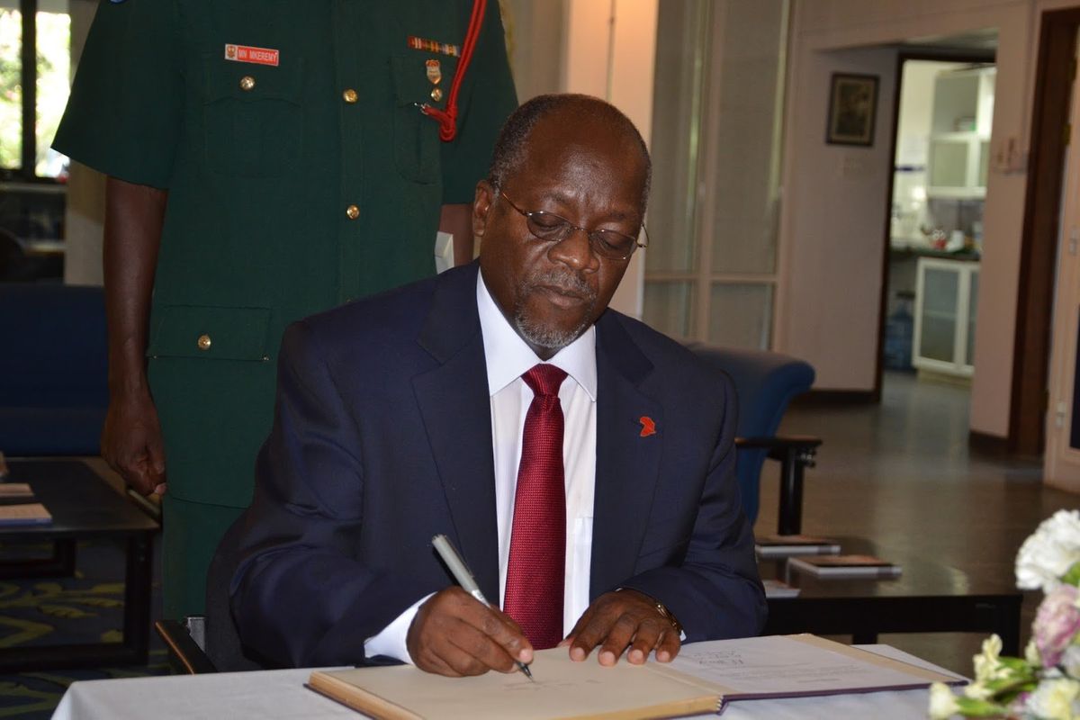 Tanzania Investment Center gets new board chair The Citizen