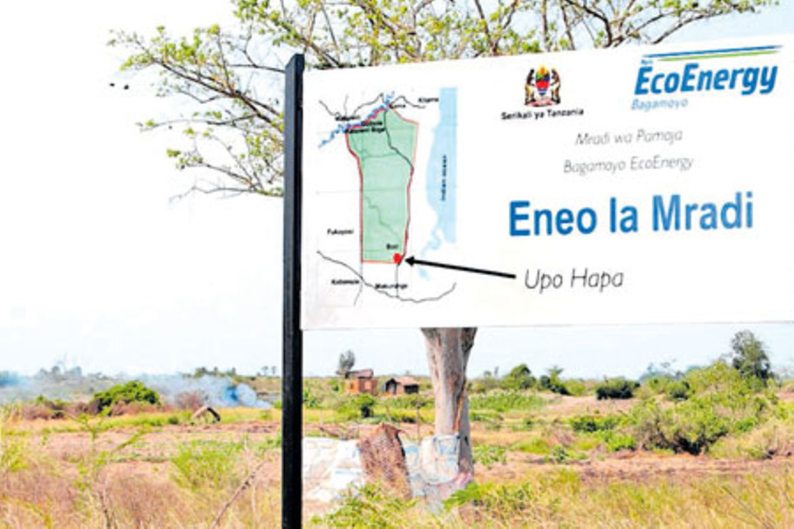 EcoEnergy lodges $500m claim after govt revoked its land title | The Citizen