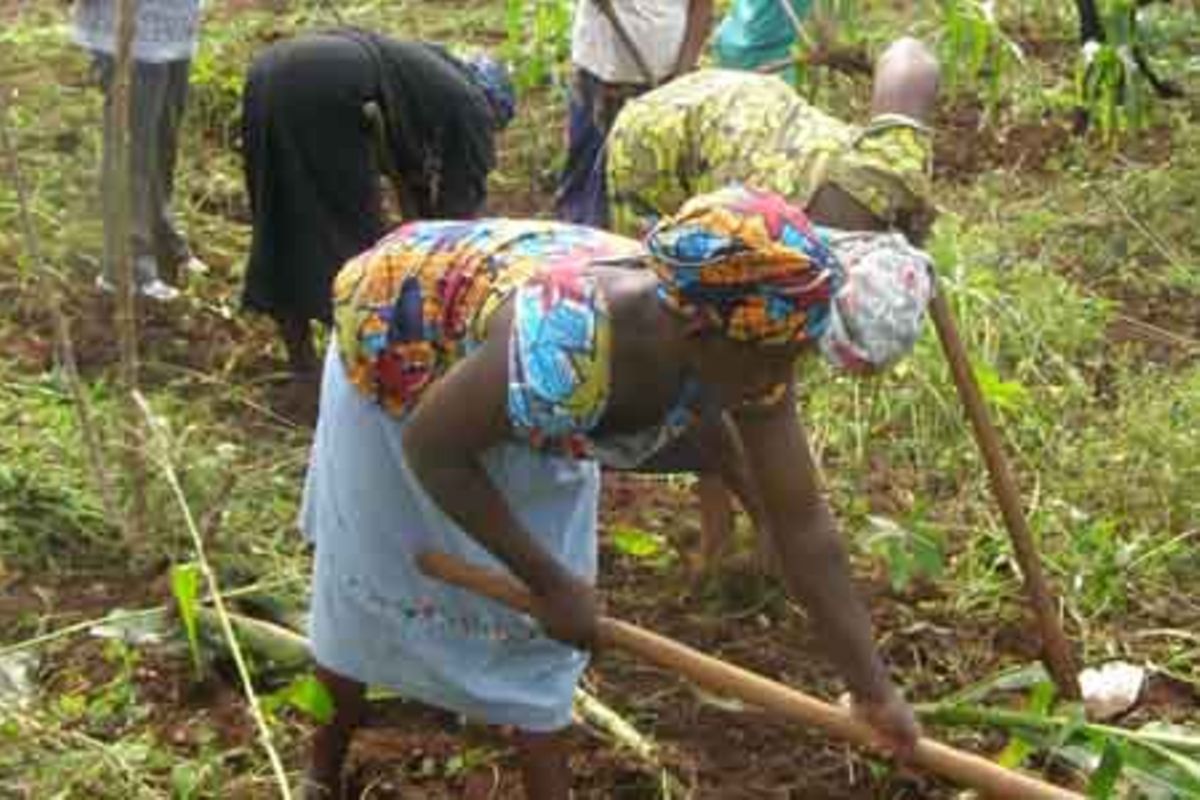 Women farmers underfunded to withstand climate change: Oxfam | The Citizen
