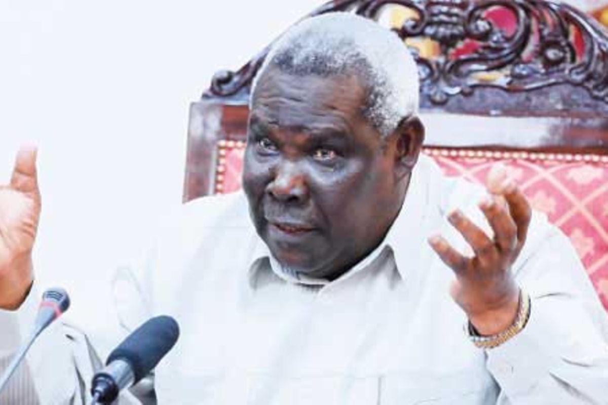Z’bar VP buys into idea of extending presidential term limit | The Citizen