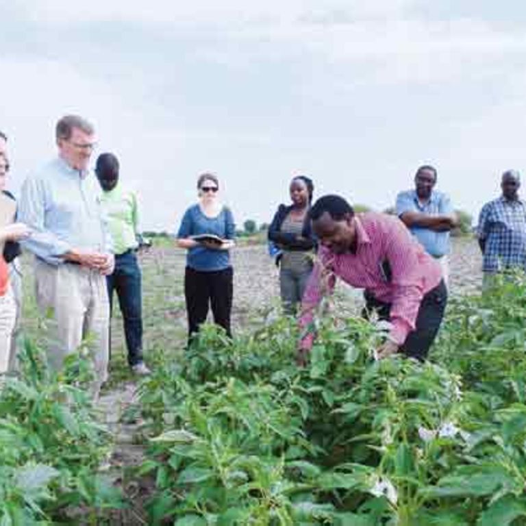Thousands of sesame farmers benefit from project as yields rise The