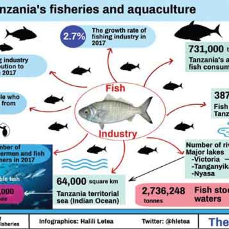 Don’t crossbreed tilapia, experts warn Tanzania The Citizen