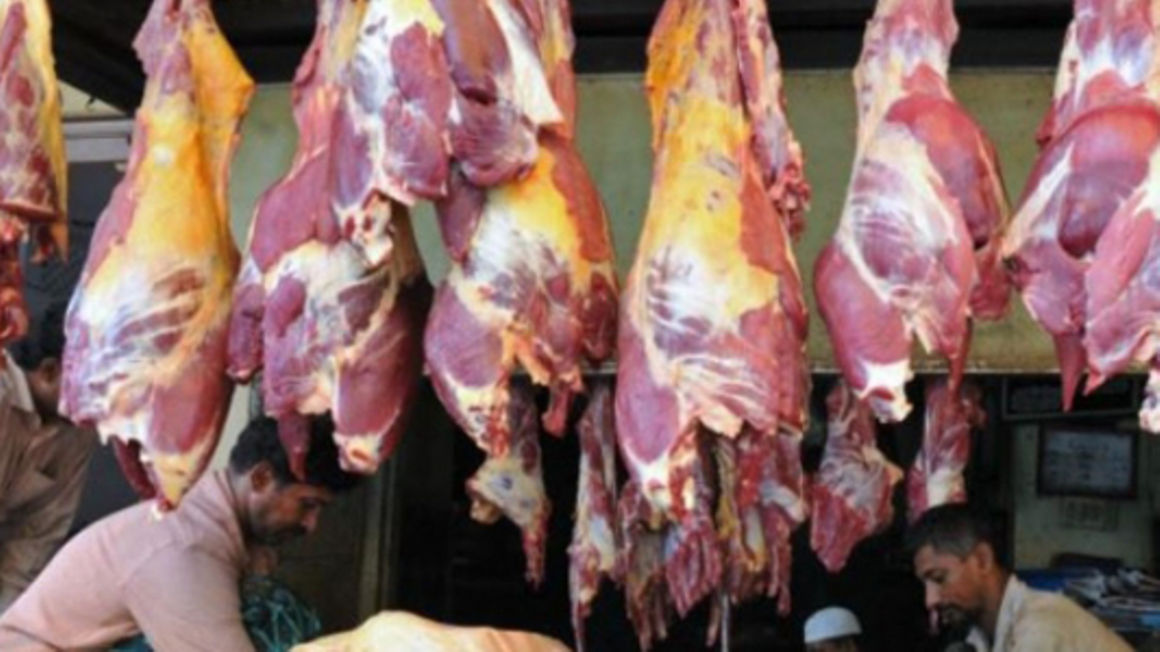 Nemc closes down donkey meat plant The Citizen