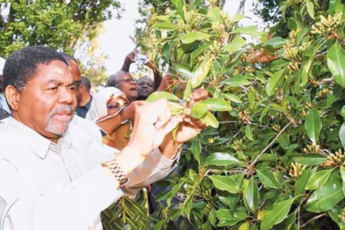 Zanzibar exports dip by 11pc, new BoT report indicates | The Citizen