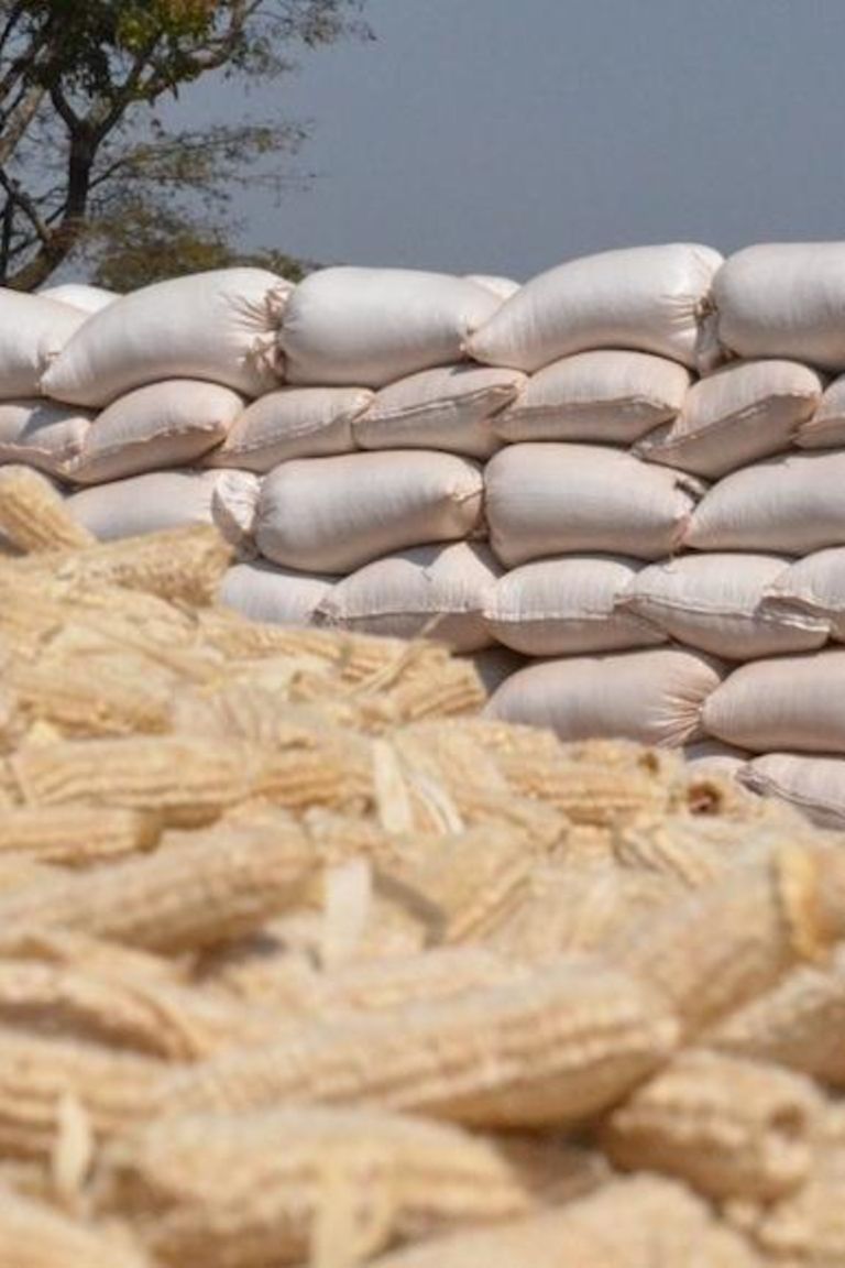 Maize prices increase The Citizen