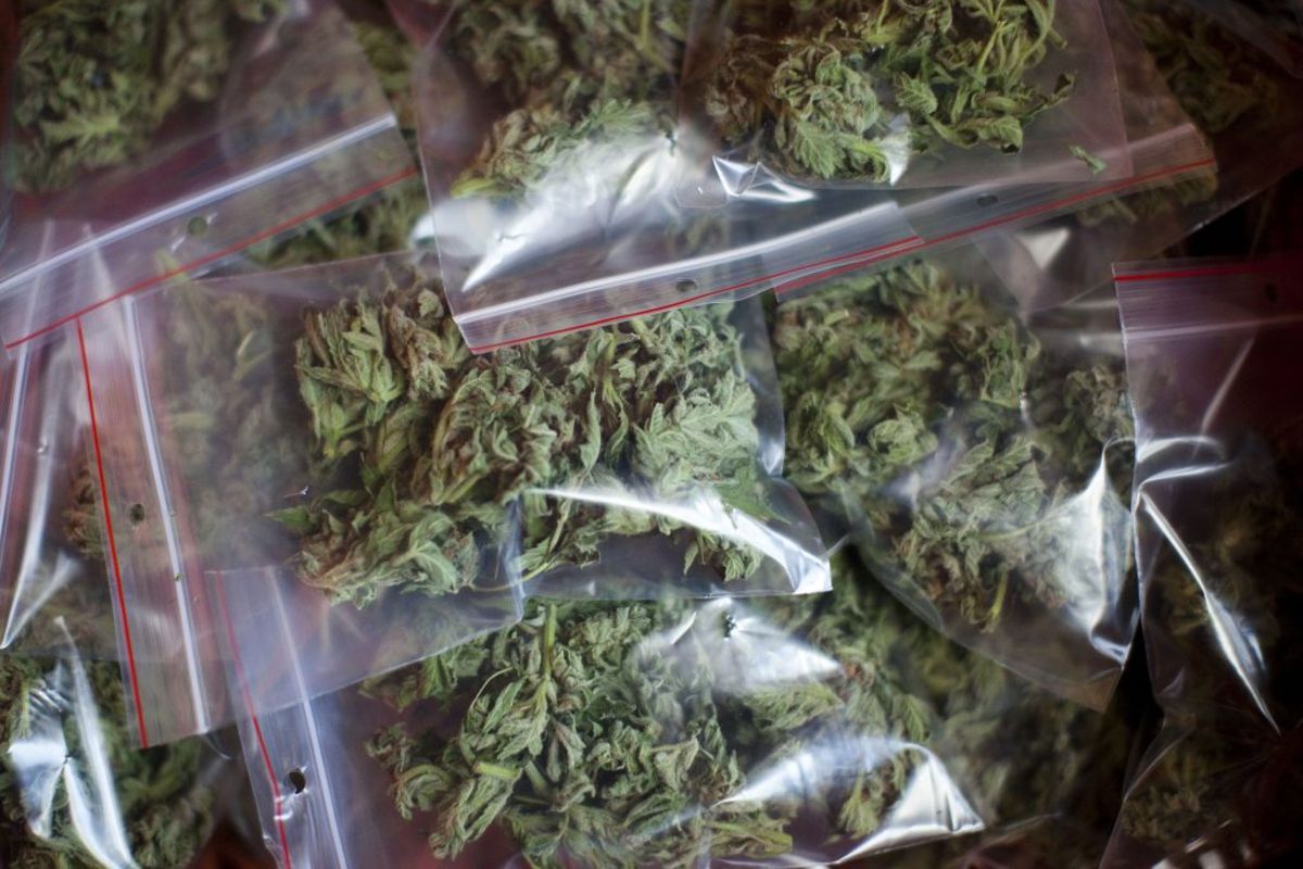 Hot cargo: US Customs seize 4 tons of marijuana hidden among peppers ...