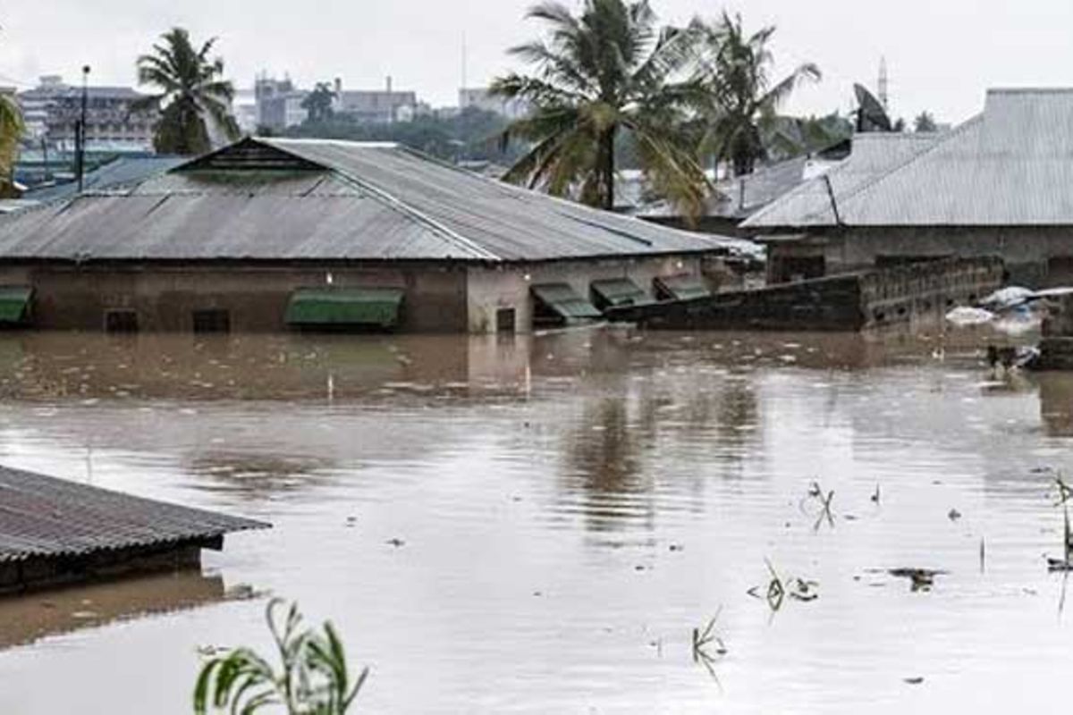 How floods cost Dar es Salaam City Sh230bn and lives last year The Citizen