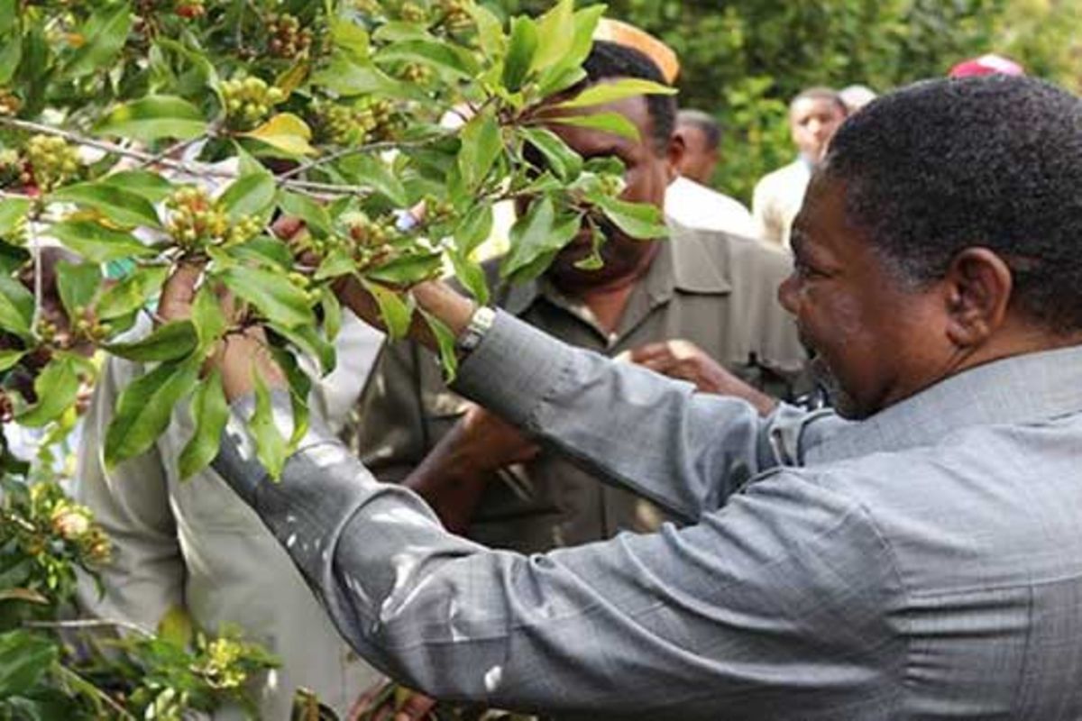 Zanzibar exports fall by 77pc amid decline in goods value | The Citizen