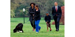 Obama family dog