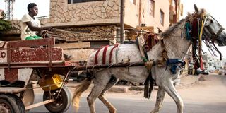 Dakar