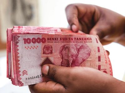 How Tanzanians can beat the rising cost of living