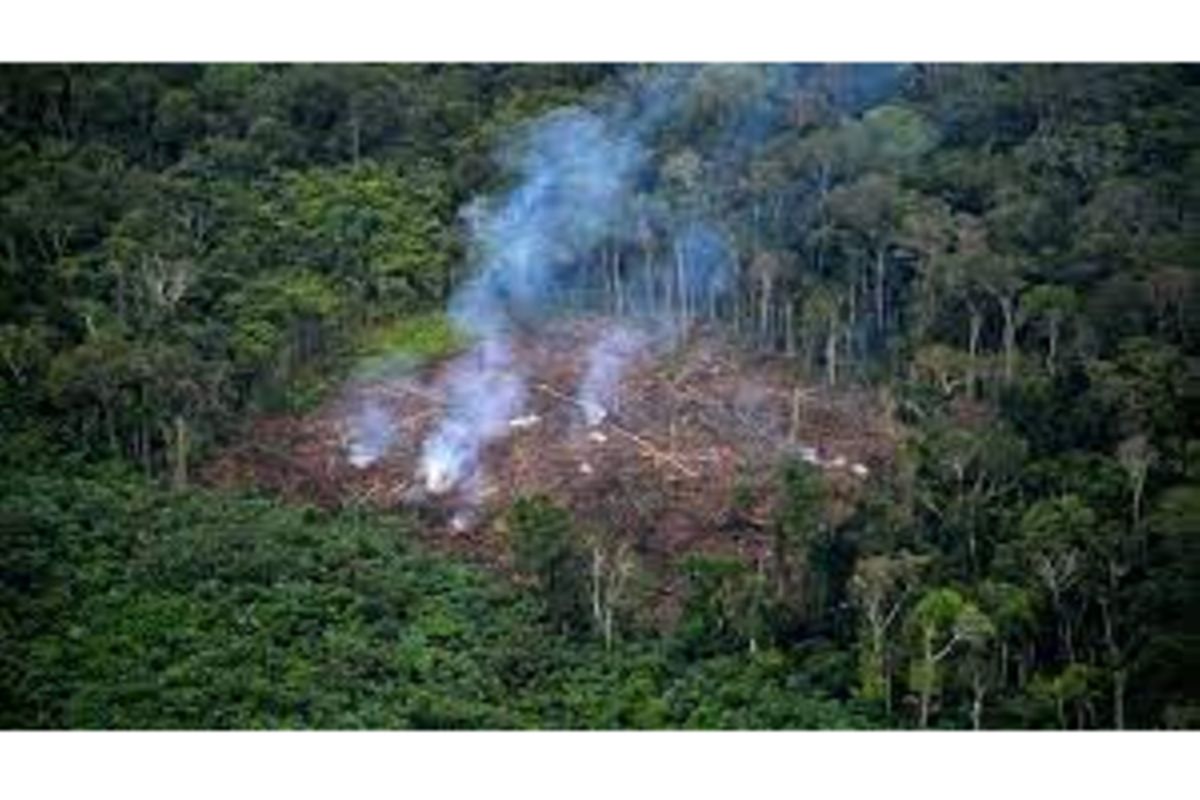 Earth's 'vital signs' worsening as humanity's impact deepens The Citizen