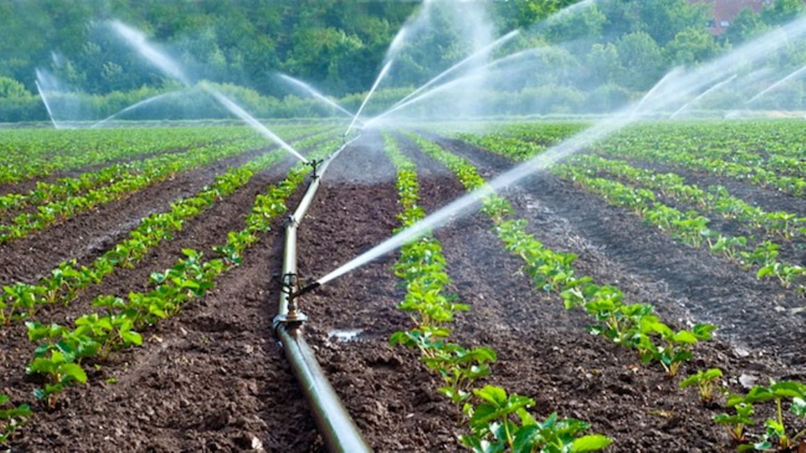 Irrigation pic