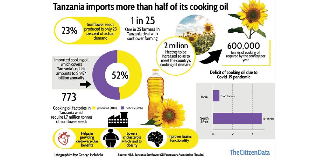 Why sunflower has economic potentials locally and globally The Citizen