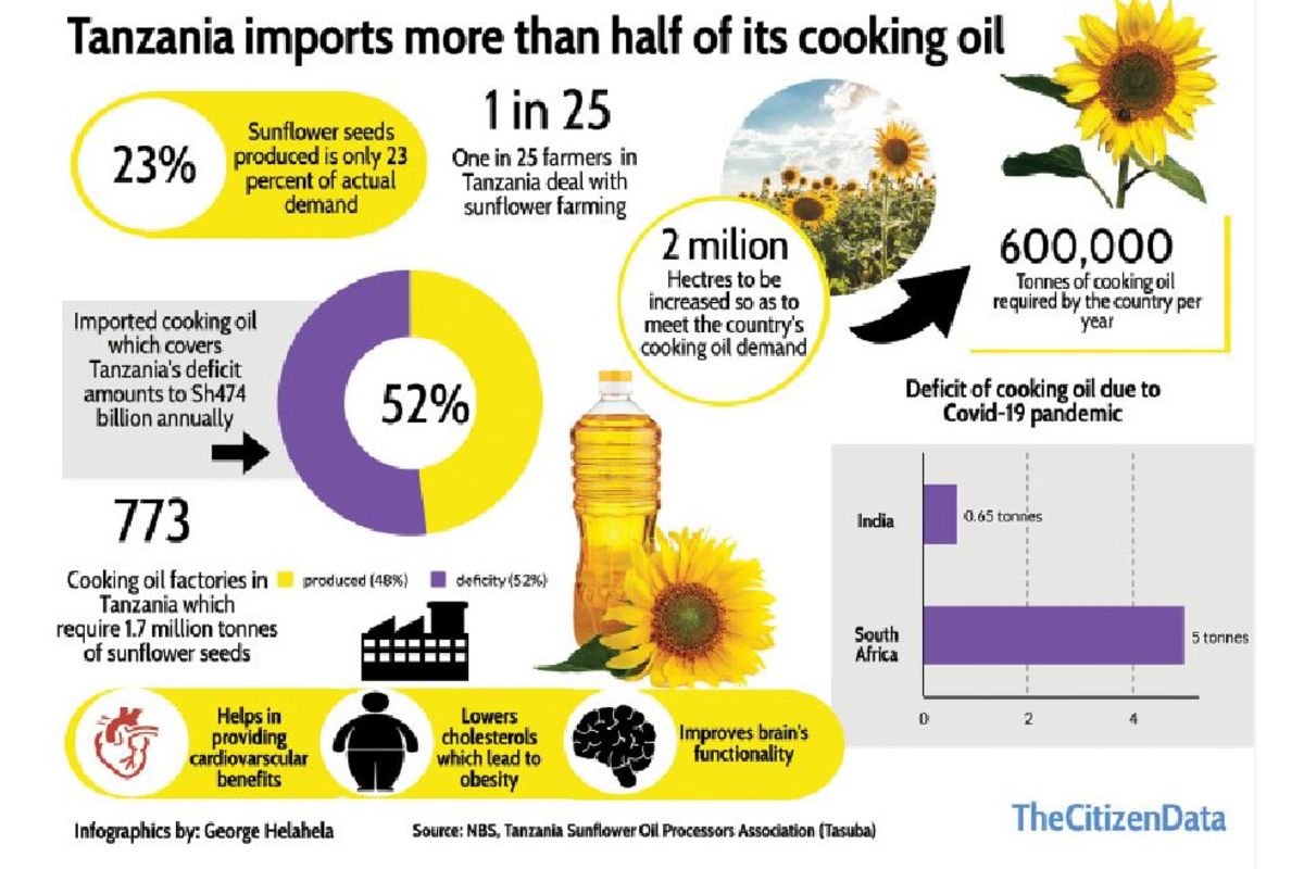 Why sunflower has economic potentials locally and globally The Citizen