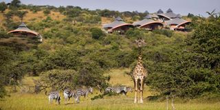 Mahali Mzuri