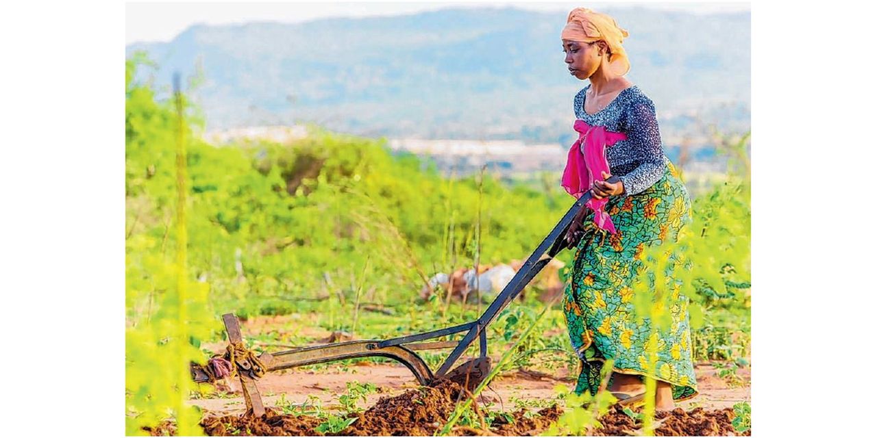 Transforming agriculture sector in Tanzania through building climate