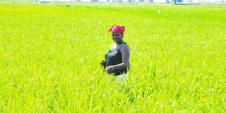 New Content Item (1)