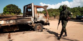 Cabo Delgado mozambique