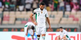Algeria forward Riyad Mahrez reacts