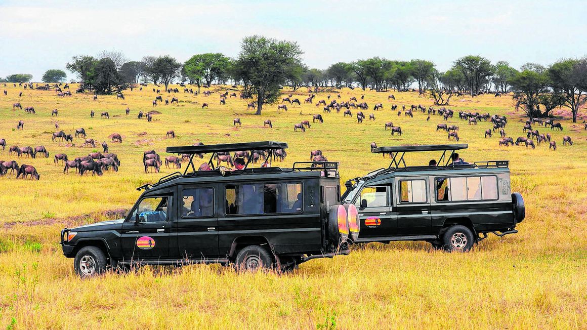 Serengeti pic