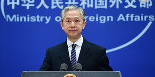 Chinese Foreign Ministry Spokesperson Wang Wenbin.