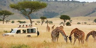 tourism levy tanzania