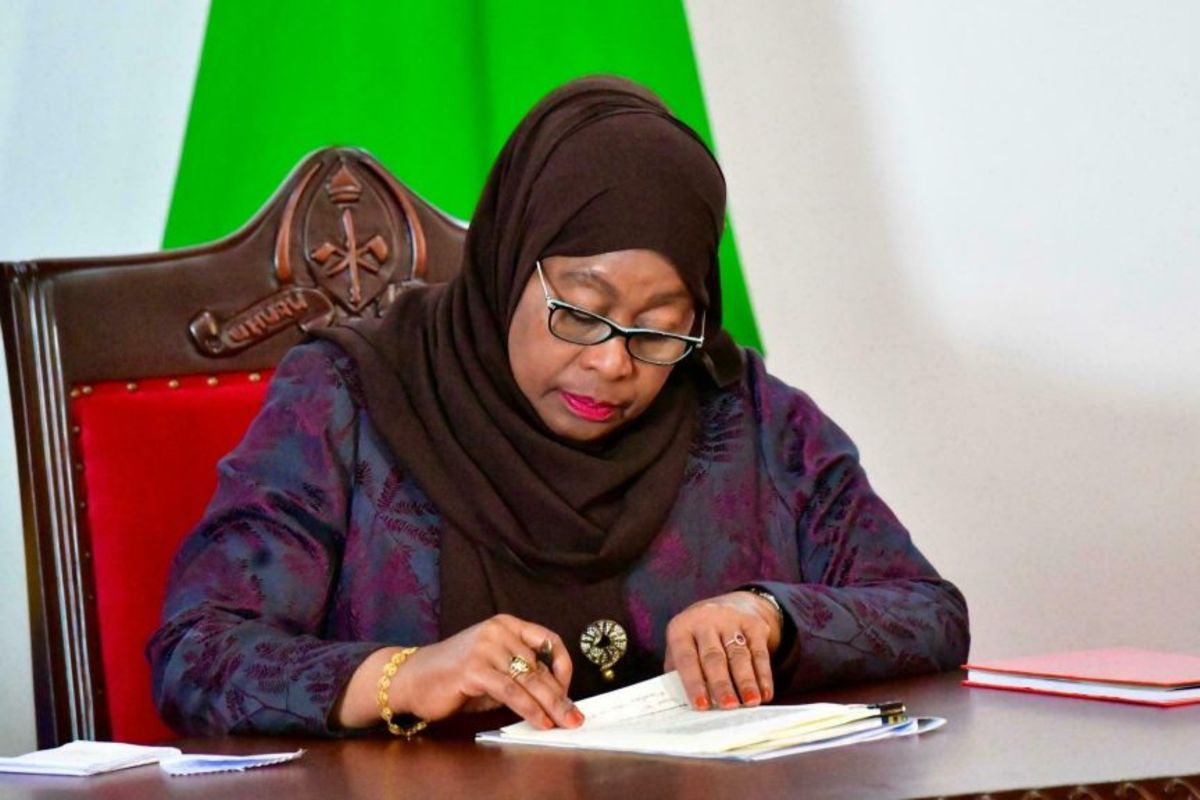 President Samia Changes 10 Regional Commissioners Drops 9 In Latest 