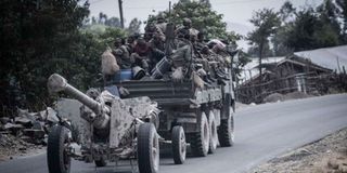 Members of the Ethiopian National Defense Force