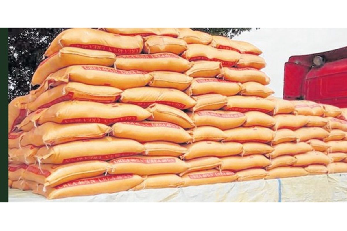 25-traders-die-without-getting-fertiliser-payment-the-citizen