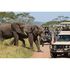 top travel agents for tanzania