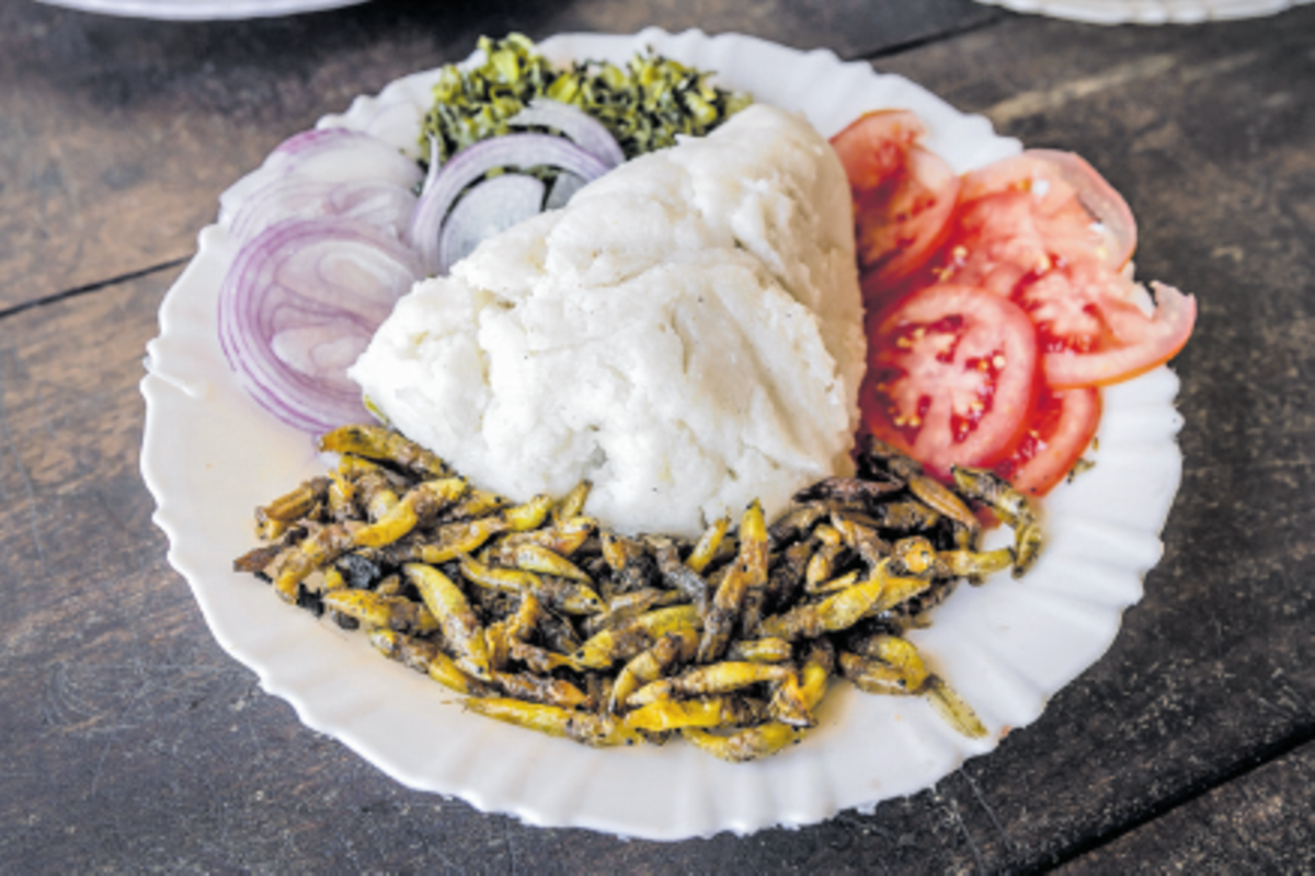 Can edible insects contribute to food and nutrition security?
