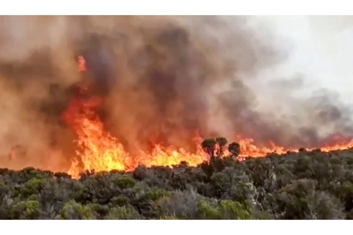 Kilimanjaro on fire TPDF deploys troops 12 days after The Citizen