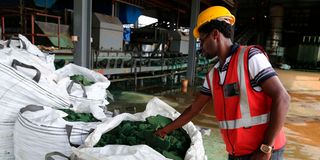 Cobalt mining