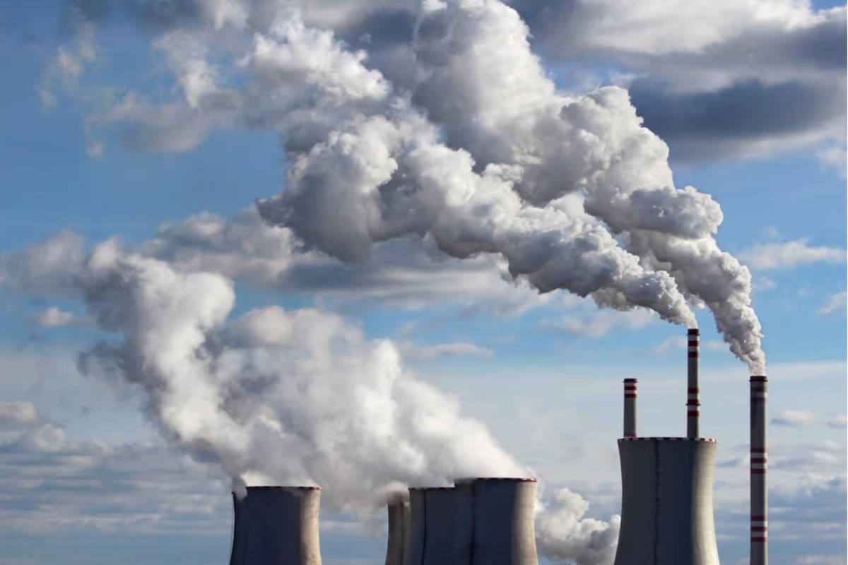 Turn carbon dioxide into a business opportunity: Jafo - The Citizen