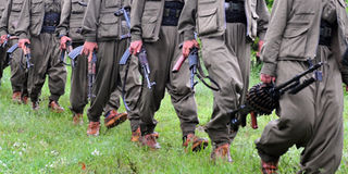 female terrorists guns