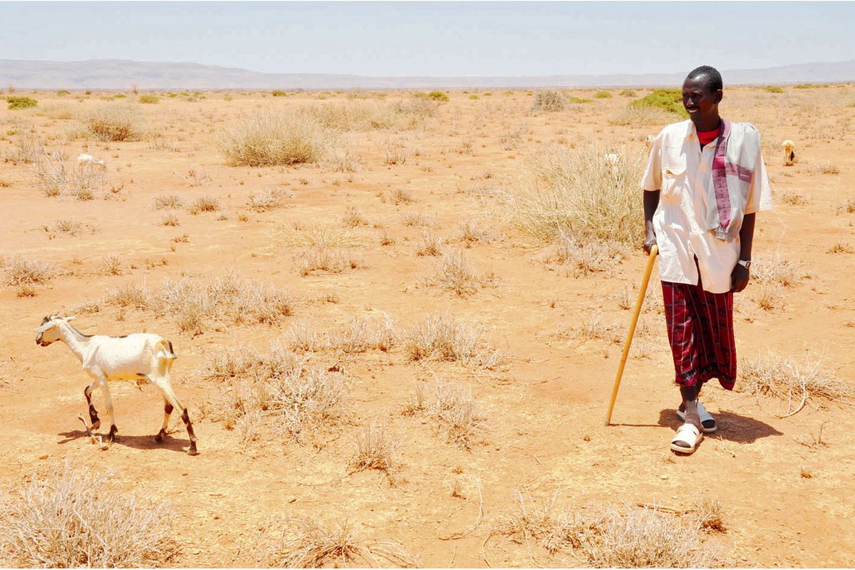 How indigenous Tanzanians cope with climate change - The Citizen
