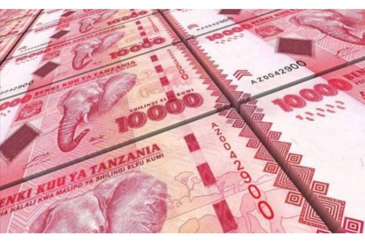 Tanzania investment projects up more than 100 percent The Citizen