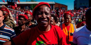 EFF leader Julius Malema.