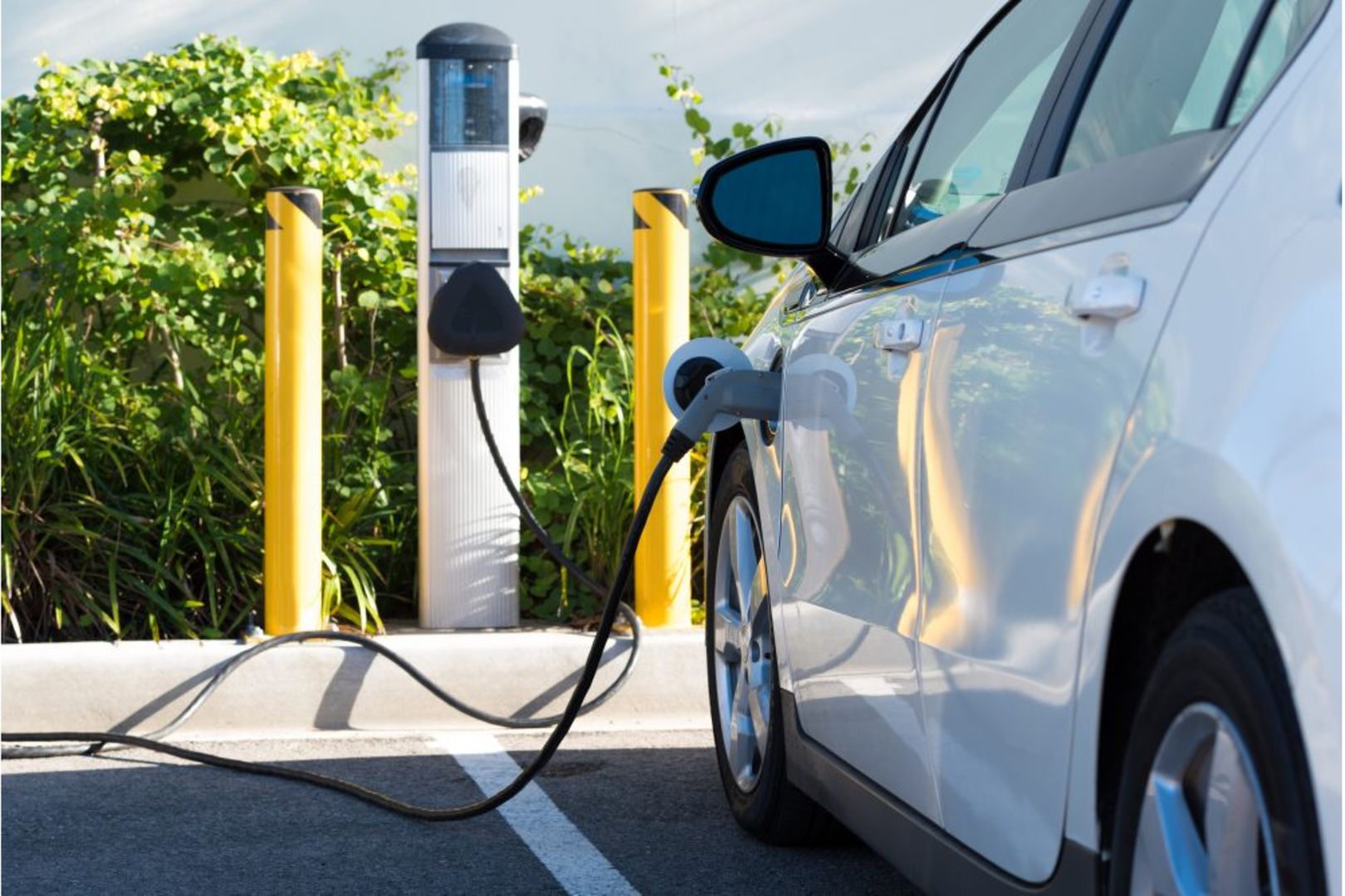 Government ponders e-mobility rules to cut emissions | The Citizen
