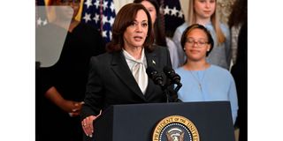 US Vice President Kamala Harris